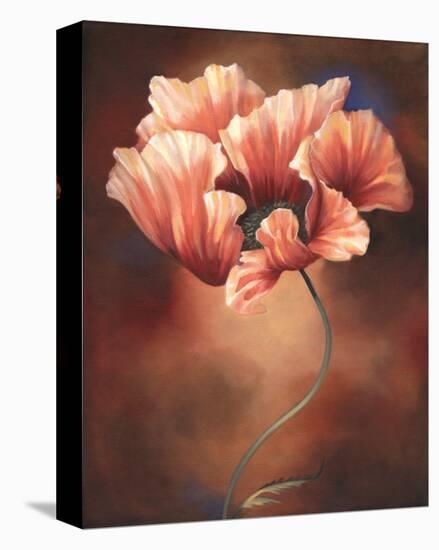 Poppy II-Louise Montillio-Stretched Canvas