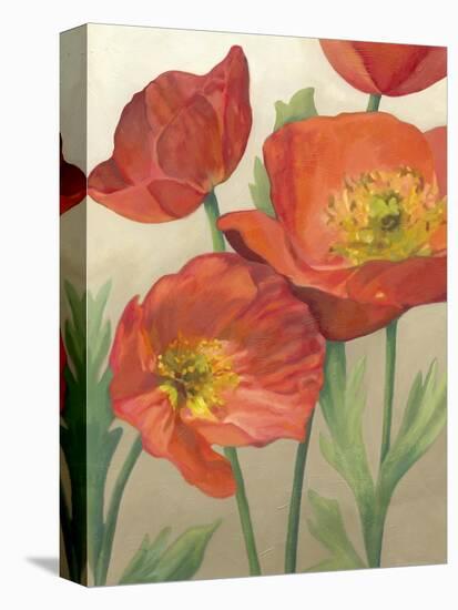 Poppy Love I-Megan Meagher-Stretched Canvas