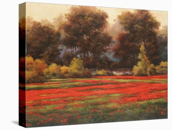 Poppy Meadows II-Tc Chiu-Stretched Canvas