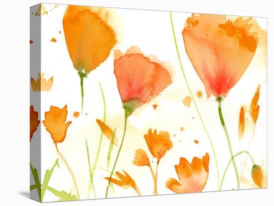 Poppy Moment-Sheila Golden-Stretched Canvas