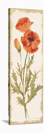 Poppy Panel Light-Cheri Blum-Stretched Canvas