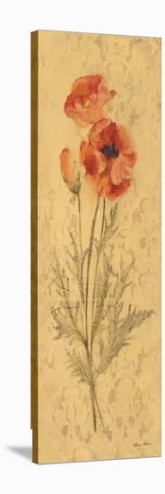 Poppy Panel-Cheri Blum-Stretched Canvas