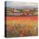 Poppy Pastures I-TC Chiu-Stretched Canvas