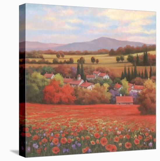 Poppy Pastures II-TC Chiu-Stretched Canvas