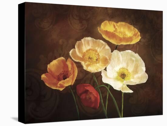 Poppy Perfection II-Janel Pahl-Stretched Canvas