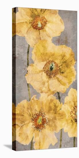 Poppy Radiance II-Tania Bello-Stretched Canvas