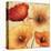 Poppy Spice III-Daphne Brissonnet-Stretched Canvas