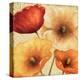 Poppy Spice III-Daphne Brissonnet-Stretched Canvas