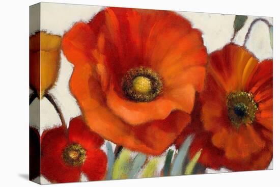 Poppy Splendor I-Lanie Loreth-Stretched Canvas