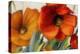 Poppy Splendor II-Lanie Loreth-Stretched Canvas