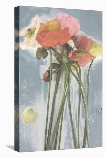 Poppy Spray I-Jennifer Goldberger-Stretched Canvas