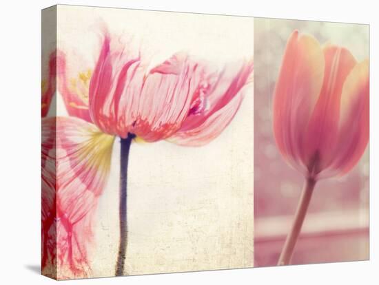 Poppy & Tulip-Myan Soffia-Premier Image Canvas