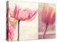 Poppy & Tulip-Myan Soffia-Premier Image Canvas