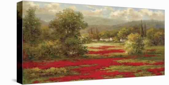 Poppy Village-Hulsey-Stretched Canvas