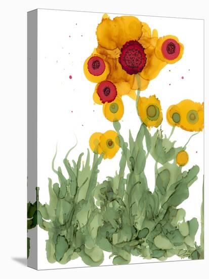 Poppy Whimsy I-Cheryl Baynes-Stretched Canvas