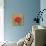 Poppy with Pattern-Kathrine Lovell-Stretched Canvas displayed on a wall