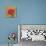 Poppy with Pattern-Kathrine Lovell-Stretched Canvas displayed on a wall