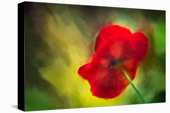 Poppy-Ursula Abresch-Premier Image Canvas