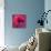 Poppy-Scott J. Davis-Premier Image Canvas displayed on a wall