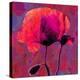 Poppy-Scott J. Davis-Premier Image Canvas