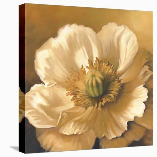 Poppy-Lisa Audit-Premier Image Canvas