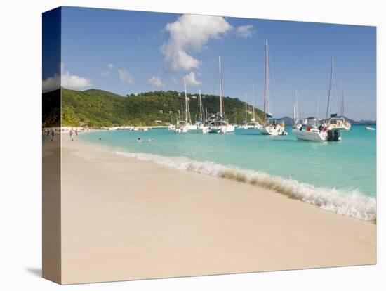 Popular Moorings For Bareboaters and Charter Sail, White Bay, Jost Van Dyke, Bvi-Trish Drury-Premier Image Canvas