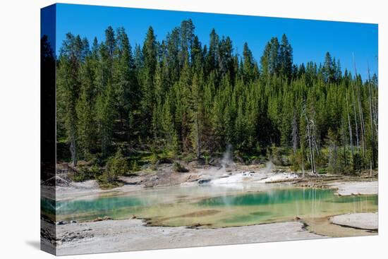 Porcelain Basin, Norris Geyser Basin, Yellowstone National Park, Wyoming, USA-Roddy Scheer-Premier Image Canvas