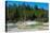 Porcelain Basin, Norris Geyser Basin, Yellowstone National Park, Wyoming, USA-Roddy Scheer-Premier Image Canvas