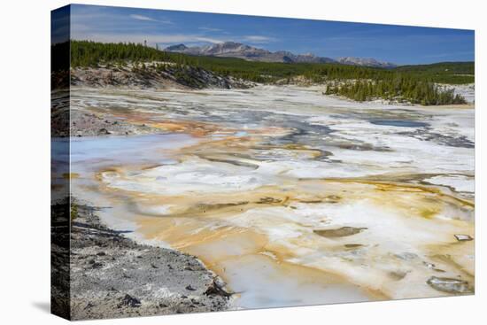 Porcelain Springs, Norris Geyser Basin, Yellowstone National Park, Wyoming, U.S.A.-Gary Cook-Premier Image Canvas