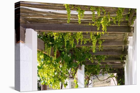 Porch with Hanging Bunches of Grapes-Catharina Lux-Premier Image Canvas