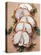 Porchetta with Rosemary and Pepper Crust (Italy)-null-Premier Image Canvas