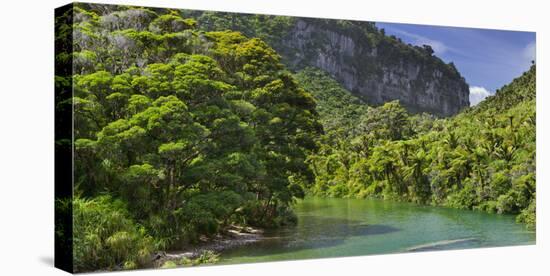 Pororari River, Paparoa National Park, West Coast, South Island, New Zealand-Rainer Mirau-Premier Image Canvas