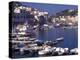 Port at Village of Ponza, Pontine Islands, Italy-Connie Ricca-Premier Image Canvas