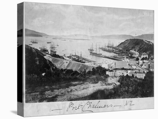 Port Chalmers-null-Premier Image Canvas