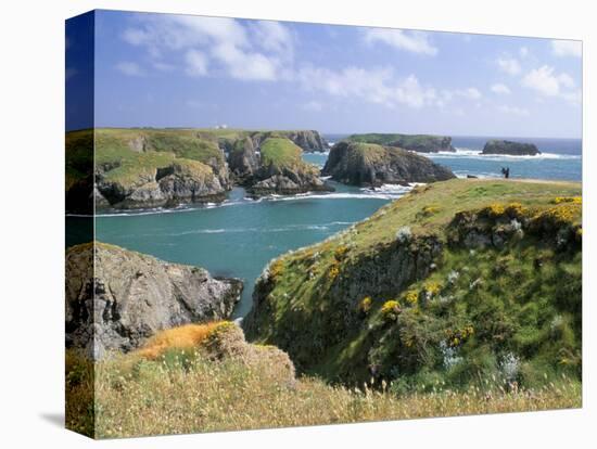 Port Goulphar, Belle Ile En Mer, Breton Islands, Morbihan, Brittany, France Europe-Bruno Barbier-Premier Image Canvas