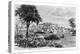 Port Limon and Uvas Island, C1890-A Kohl-Premier Image Canvas