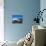 Port, Naoussa, Paros, Cyclades, Aegean, Greek Islands, Greece, Europe-Tuul-Premier Image Canvas displayed on a wall