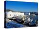 Port, Naoussa, Paros, Cyclades, Aegean, Greek Islands, Greece, Europe-Tuul-Premier Image Canvas