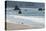 Port Orford beach, Oregon-Alan Majchrowicz-Premier Image Canvas