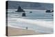 Port Orford beach, Oregon-Alan Majchrowicz-Premier Image Canvas