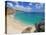 Porthcurno Beach, Cornwall, England, United Kingdom, Europe-Neale Clark-Premier Image Canvas