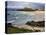 Porthmeor Beach, St. Ives, Cornwall, England, United Kingdom, Europe-Roy Rainford-Premier Image Canvas