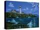 Portland Head Light-Eduardo Camoes-Premier Image Canvas