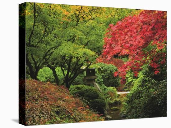 Portland Japanese Garden in Autumn, Portland, Oregon, USA-Michel Hersen-Premier Image Canvas