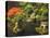 Portland Japanese Garden in Autumn, Portland, Oregon, USA-Michel Hersen-Premier Image Canvas