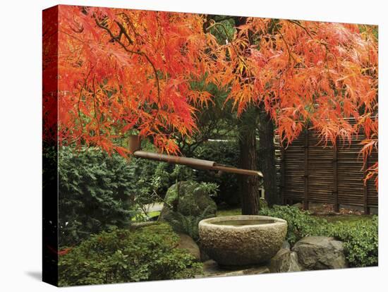 Portland Japanese Garden in Autumn, Portland, Oregon, USA,-Michel Hersen-Premier Image Canvas