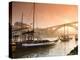 Porto Wine Carrying Barcos, River Douro and City Skyline, Porto, Portugal-Michele Falzone-Premier Image Canvas