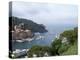 Portofino Harbor-Marilyn Dunlap-Stretched Canvas