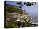 Portofino, Liguria, Italy, Europe-Angelo Cavalli-Premier Image Canvas