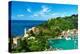 Portofino Village on Ligurian Coast in Italy-haveseen-Premier Image Canvas